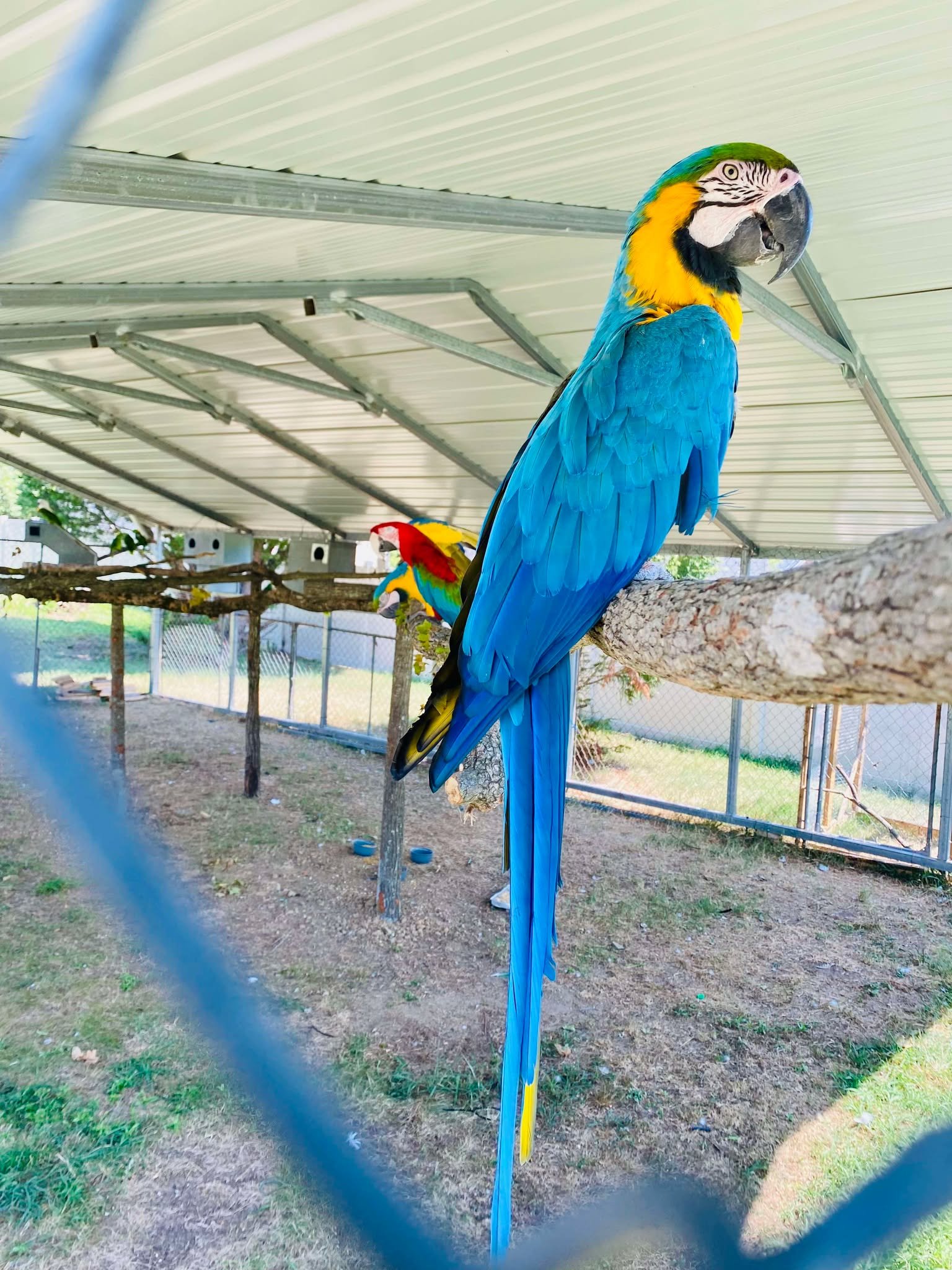 Wildlife photograph from the Milele archive