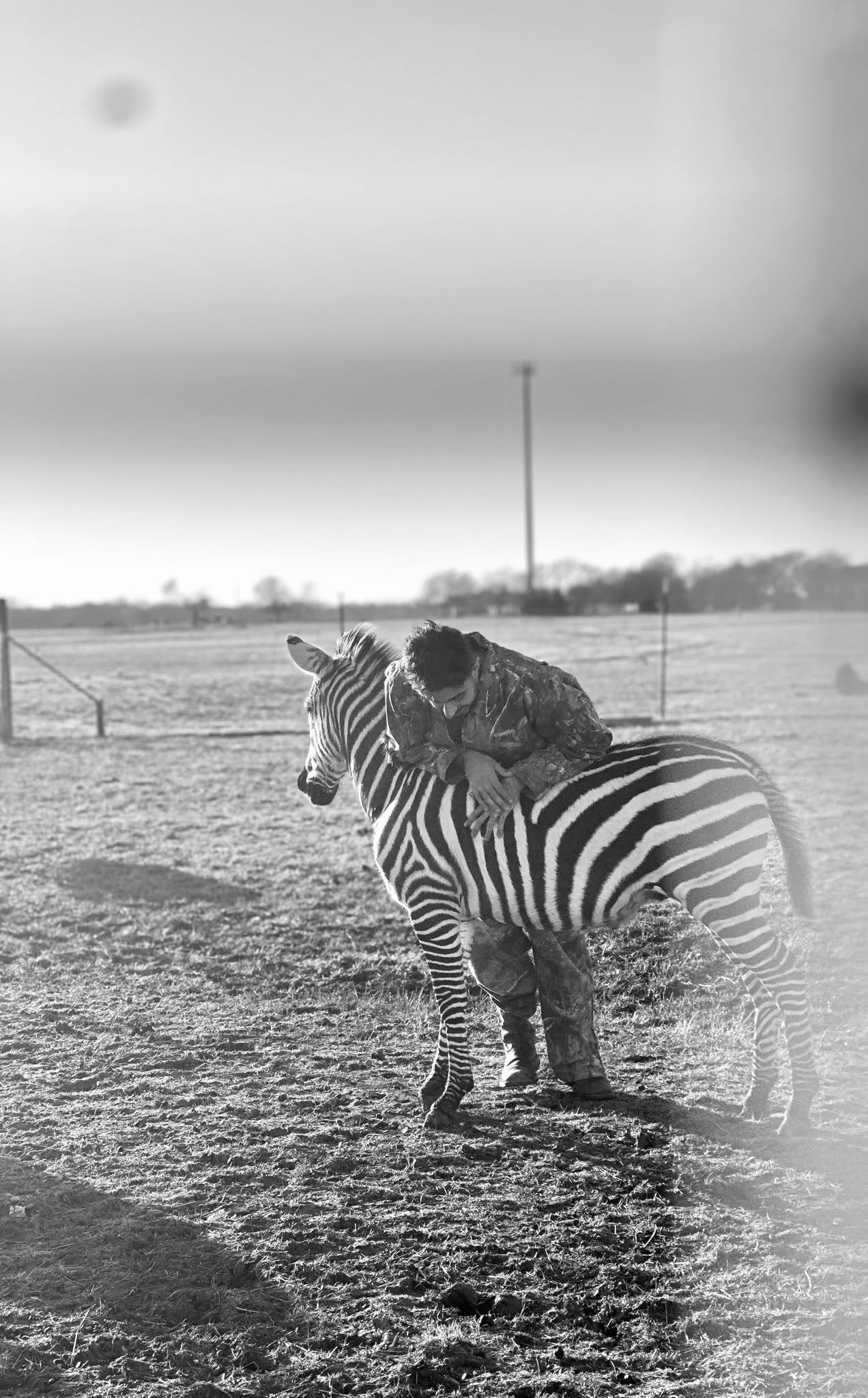 Milele animal care archive photograph