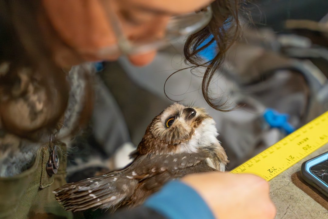 Wildlife care examination